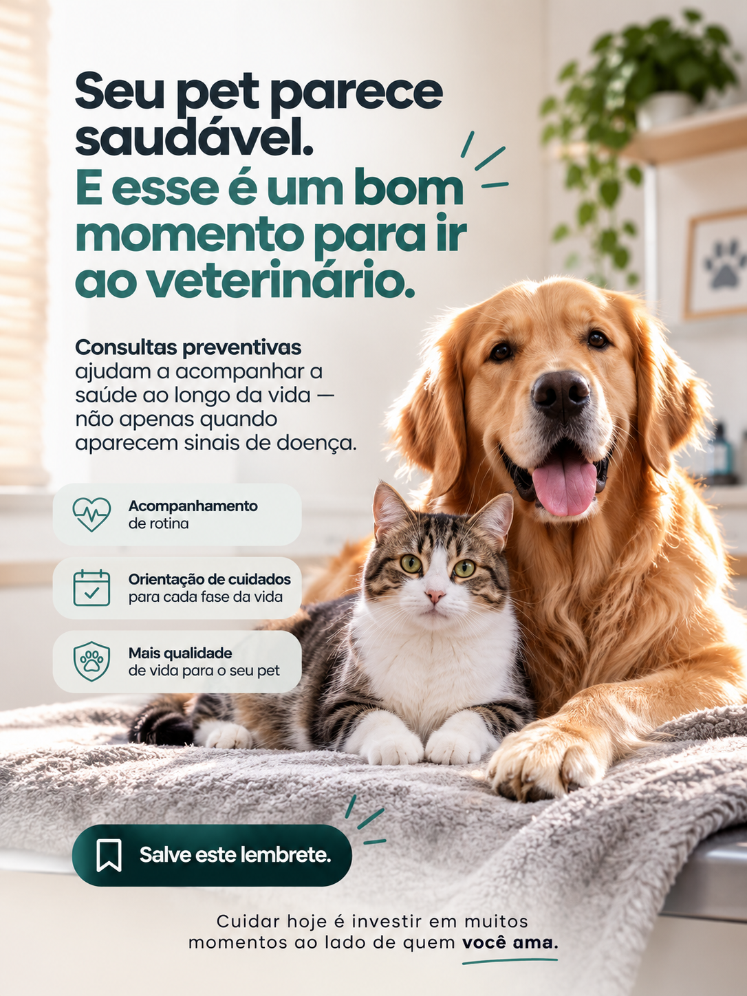 Post veterinário com hierarquia e leitura clara